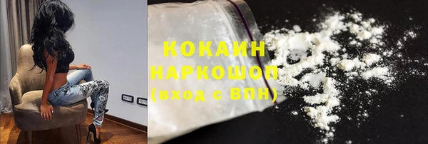 ешки Горняк