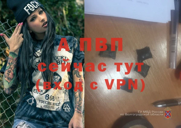 apvp Горно-Алтайск