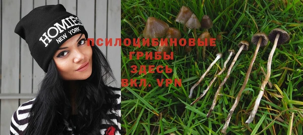 ешки Горняк