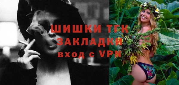 ешки Горняк
