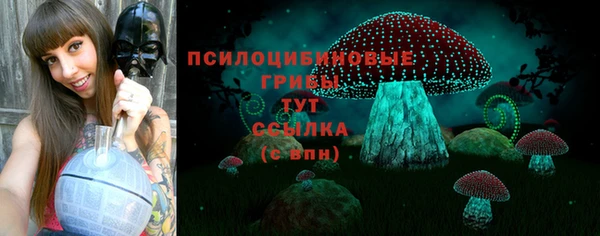 ешки Горняк