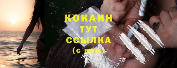 ешки Горняк